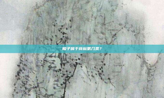 帽子属于商标第几类?