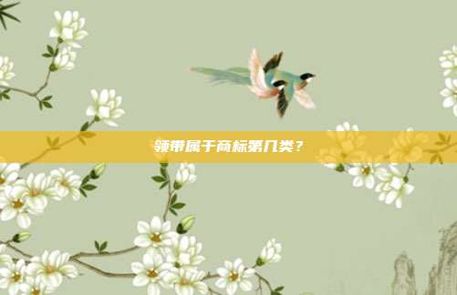 领带属于商标第几类?