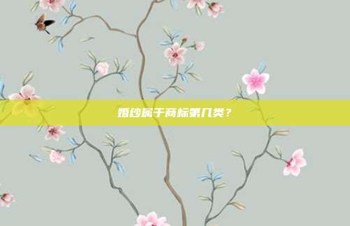 婚纱属于商标第几类?
