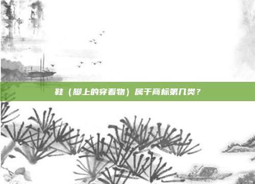 鞋（脚上的穿着物）属于商标第几类？
