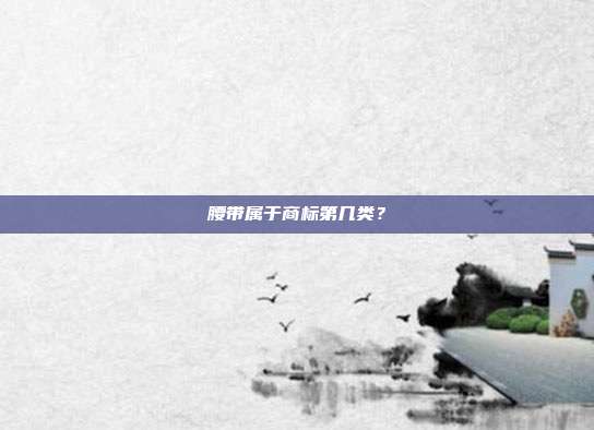 腰带属于商标第几类?