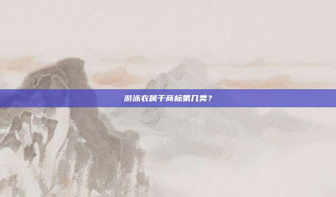 游泳衣属于商标第几类?