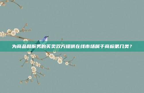 为商品和服务的买卖双方提供在线市场属于商标第几类?