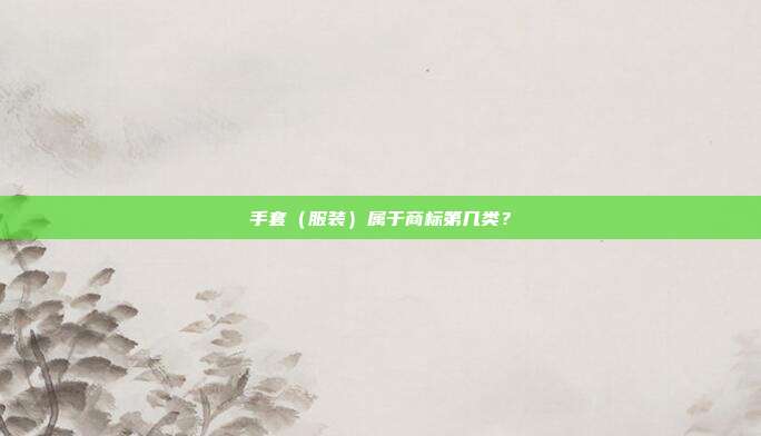 手套(服装)属于商标第几类?