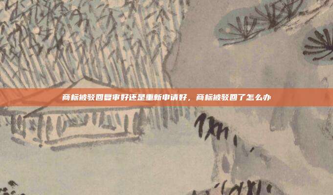 商标被驳回复审好还是重新申请好，商标被驳回了怎么办