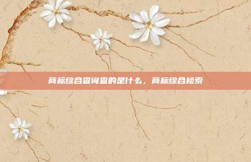 商标综合查询查的是什么，商标综合检索