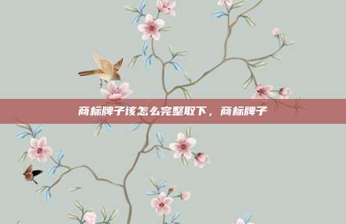 商标牌子该怎么完整取下,商标牌子