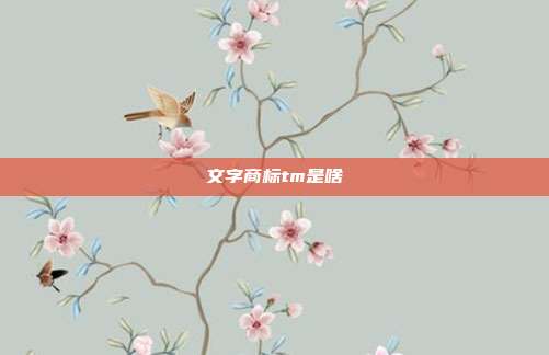 文字商标tm是啥