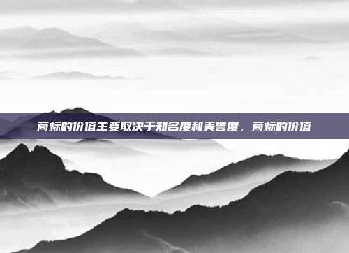 商标的价值主要取决于知名度和美誉度，商标的价值