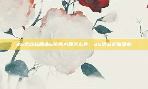 35类商标哪些6位数小项怎么选,35类商标有哪些