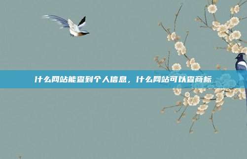 什么网站能查到个人信息,什么网站可以查商标
