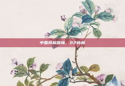 中国商标查询，22商标