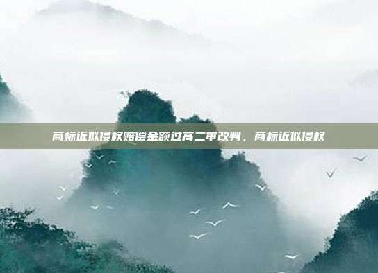 商标近似侵权赔偿金额过高二审改判,商标近似侵权