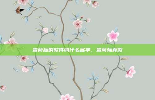 查商标的软件叫什么名字,查商标真假