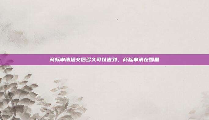 商标申请提交后多久可以查到,商标申请在哪里