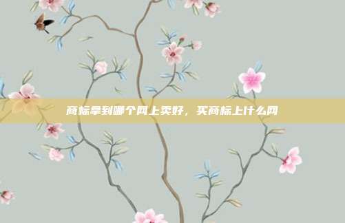 商标拿到哪个网上卖好,买商标上什么网