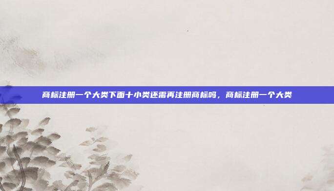 商标注册一个大类下面十小类还需再注册商标吗,商标注册一个大类