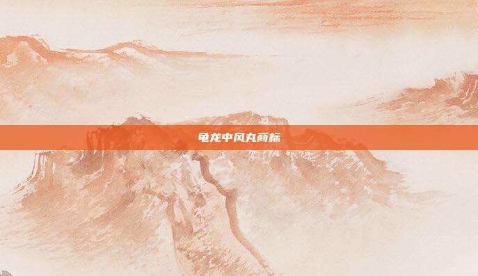 龟龙中风丸商标