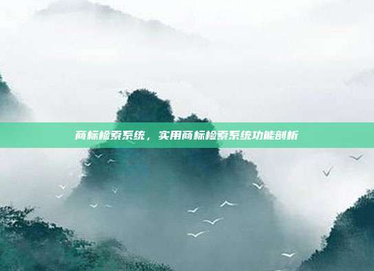 商标检索系统，实用商标检索系统功能剖析