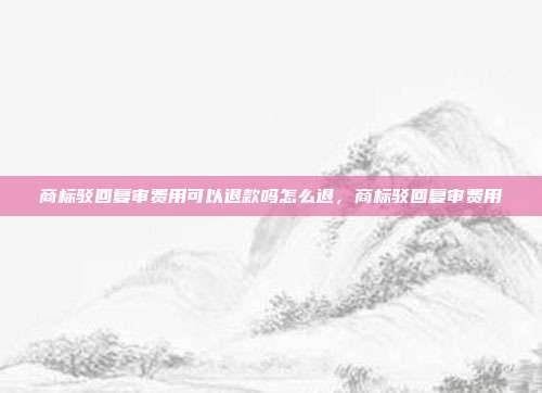 商标驳回复审费用可以退款吗怎么退,商标驳回复审费用