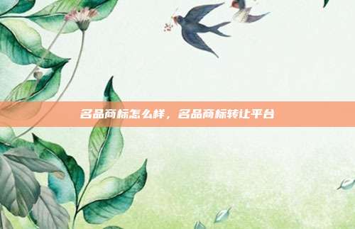 名品商标怎么样，名品商标转让平台