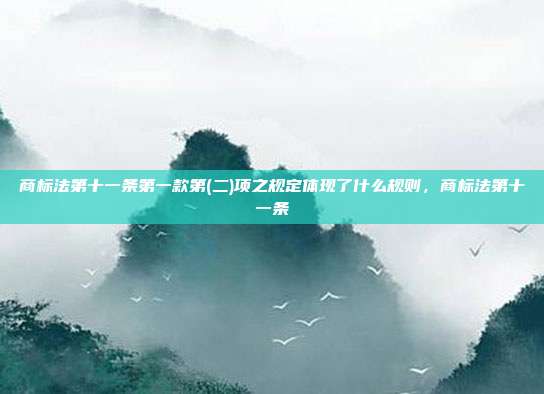 商标法第十一条第一款第(二)项之规定体现了什么规则，商标法第十一条
