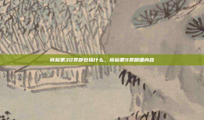 商标第30类都包括什么，商标第9类明细内容