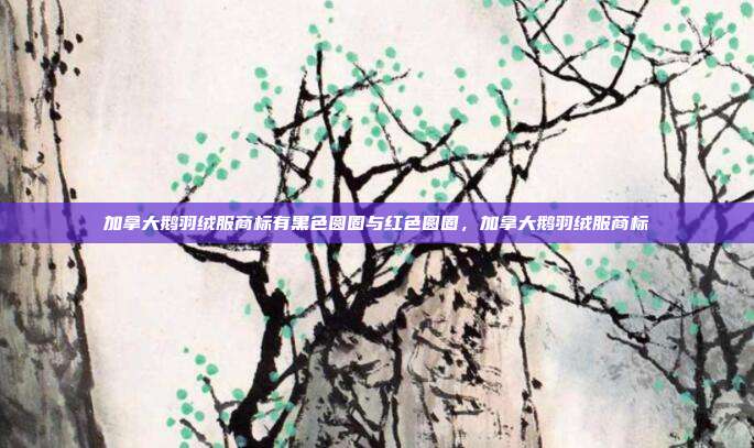 加拿大鹅羽绒服商标有黑色圆圈与红色圆圈，加拿大鹅羽绒服商标