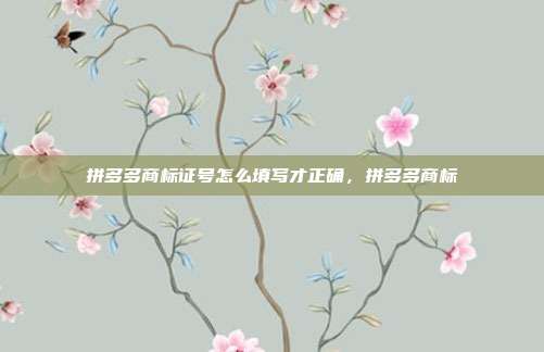 拼多多商标证号怎么填写才正确，拼多多商标