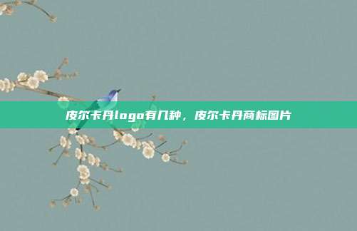 皮尔卡丹logo有几种，皮尔卡丹商标图片