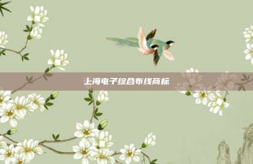 上海电子综合布线商标