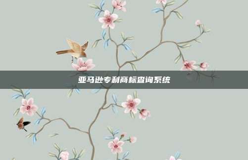 亚马逊专利商标查询系统