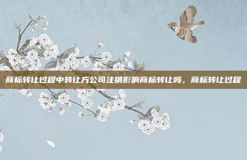 商标转让过程中转让方公司注销影响商标转让吗,商标转让过程