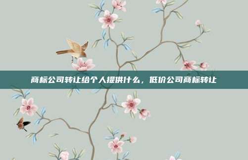 商标公司转让给个人提供什么,低价公司商标转让