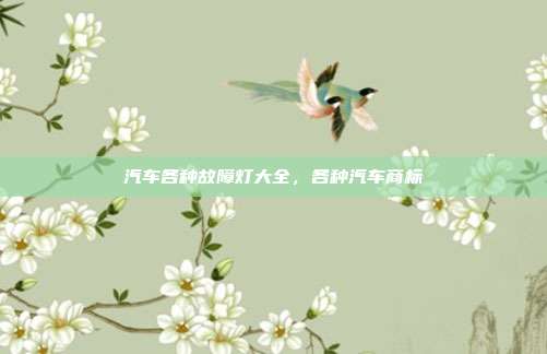 汽车各种故障灯大全,各种汽车商标