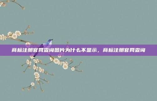 商标注册官网查询图片为什么不显示,商标注册官网查询