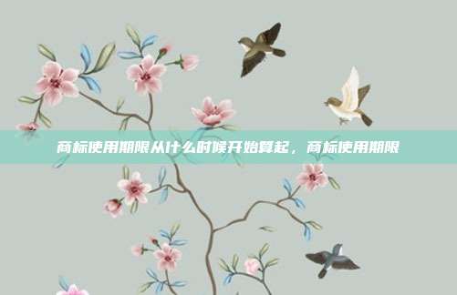 商标使用期限从什么时候开始算起,商标使用期限