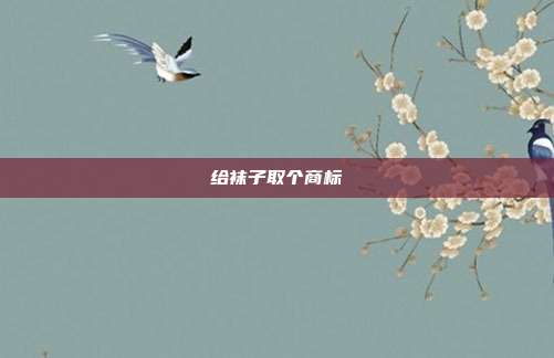 给袜子取个商标