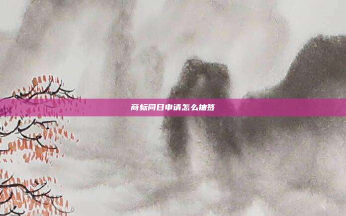 商标同日申请怎么抽签