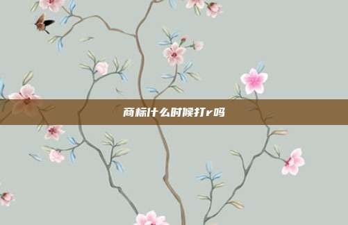 商标什么时候打r吗