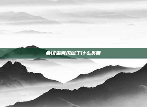会议麦克风属于什么类目