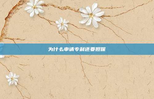 为什么申请专利还要担保