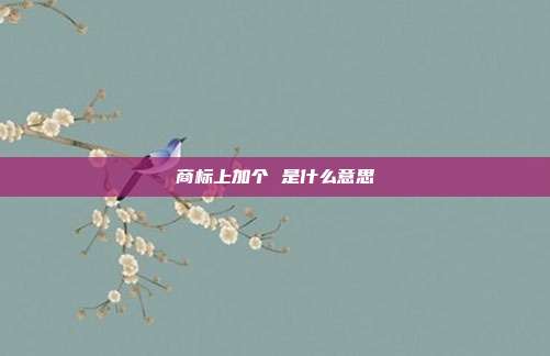 商标上加个 是什么意思