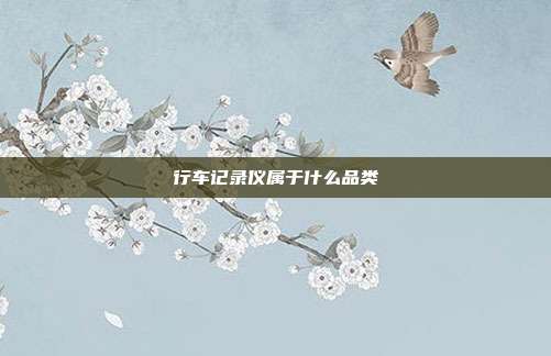 行车记录仪属于什么品类