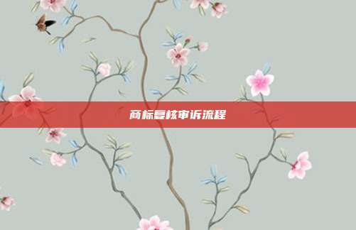 商标复核审诉流程