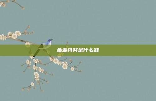 金麦丹努是什么鞋