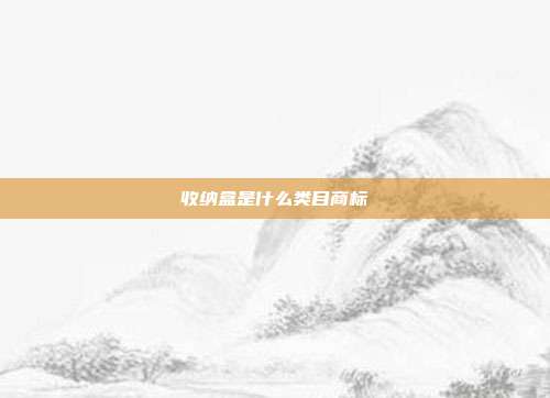 收纳盒是什么类目商标