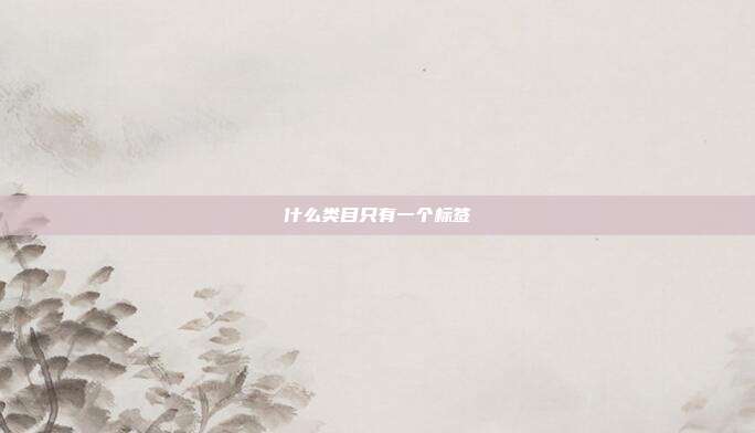 什么类目只有一个标签
