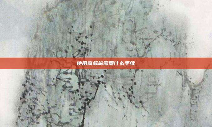 使用商标前需要什么手续