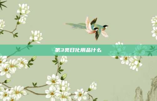 第3类日化用品什么
